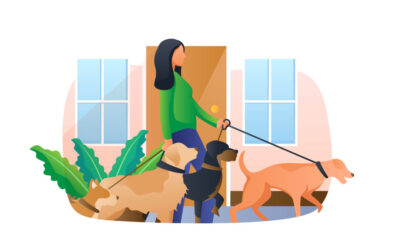 Recomendaciones al pasear a tu mascota