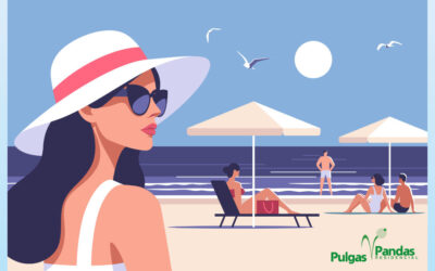 Recomendaciones de Seguridad en Vacaciones