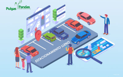 Uso correcto de cajones de estacionamiento