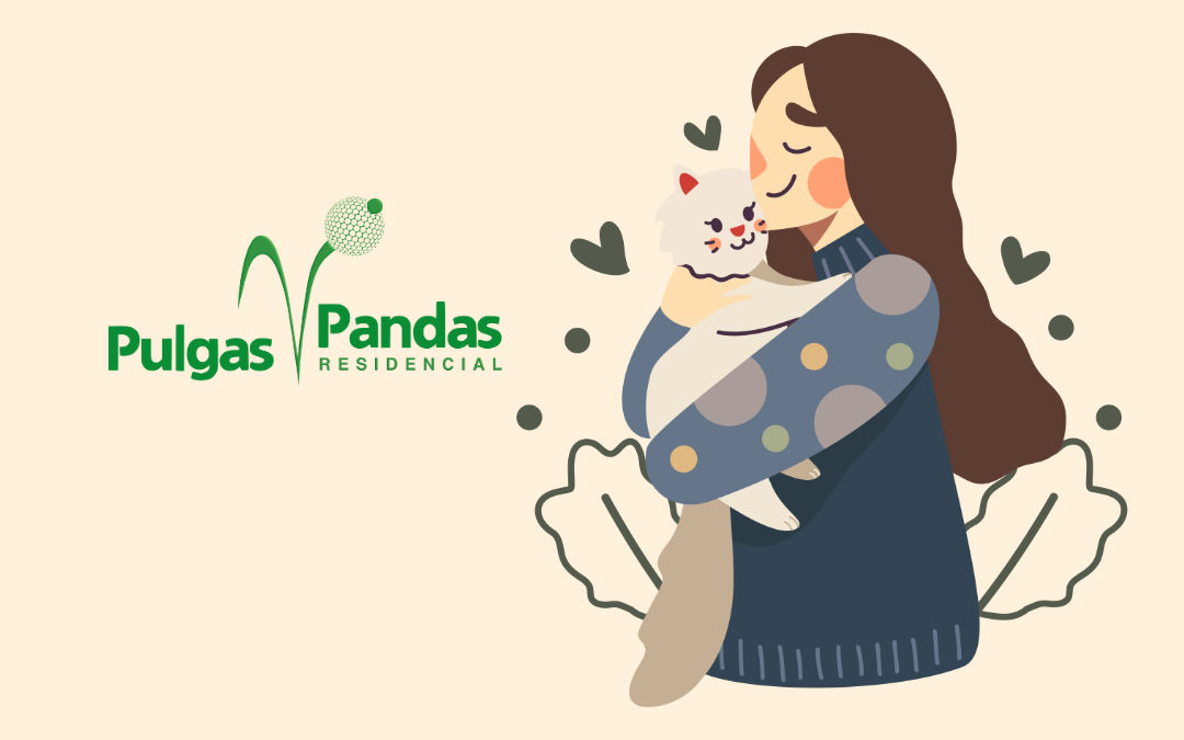 Campaña de Esterilización de Gatos Ferales